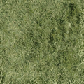 2notherbuildsfe_Bow_church_grass_alt.png