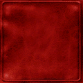 CJ_RED_LEATHER.png