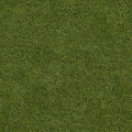 Grass_128HV.png