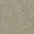 HS2_2Carpet1.png