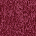 WH_carpet1.png