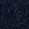 WH_carpet3.png