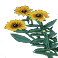 WH_flowers1.png