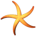 ab_aqua_starfish.png