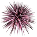 ab_aqua_urchin.png