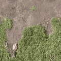 baseballground_sfs_Bow_church_dirt_to_grass_side_t.png