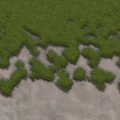 beach_sfs_ws_drysand2grass.png