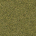 beachapts_lax_Grass_dry_64HV.png