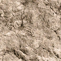 beacliff_law2_sm_rock2_desert.png