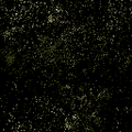 blacksky_sfse_ws_blackmarble.png