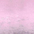 boxhses_sfsx_ws_pink_wall1.png