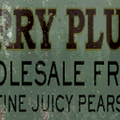 burgalrystore_sfse_ws_HARRYPLUMS.png