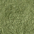 canalsg_law_Bow_church_grass_gen.png