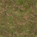 ce_farmxref_forestfloor256.png