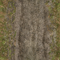 ce_ground01_dirttracksforest.png