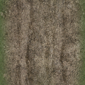 ce_ground01_dirttracksgrass256.png