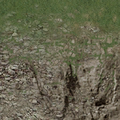 ce_ground01_grassbrn2rockbrnG2.png