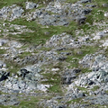 ce_ground01_sw_rockgrass1.png