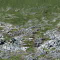 ce_ground01_sw_rockgrassB1.png