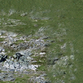 ce_ground01_sw_rockgrassB2.png