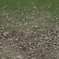 ce_ground01_sw_stonesgrass.png