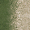 ce_ground02_sw_sandgrass.png