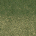 ce_ground03_sw_grass01a.png