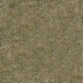 ce_ground04_grassgrnbrn256.png