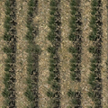 ce_ground07_sw_crops.png