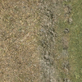 ce_ground07_sw_grassB01.png