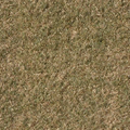 ce_ground11_grassdead1.png