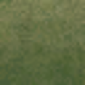 ce_lod_01_desgreengrassmixLOD.png