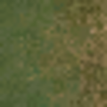 ce_lod_01_forestfloorgrassLOD.png