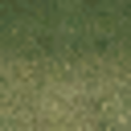 ce_lod_01_sw_grass01aLOD.png