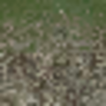 ce_lod_01_sw_stonesgrassLOD.png