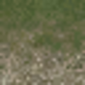 ce_lod_02_cw2_mountdirt2grassLOD.png