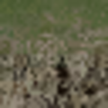 ce_lod_02_grassbrn2rockbrnGLOD.png