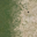 ce_lod_04_sw_sandgrassLOD.png