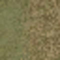 ce_lod_07_grassdead1blndLOD.png