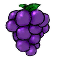 cj_wheel_Grape256.png