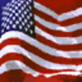 copshop_sfe_dt_cops_US_flag.png