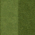 councl_law2_Grass_lawn_128HV.png