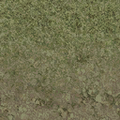 cs_coast_grasstype4_mudblend.png