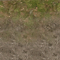 cs_forest_forestfloor256_blenddirt.png