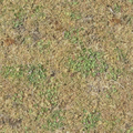 cs_forest_grassdeadbrn256.png