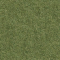 cs_forest_grasstype4.png