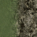 cs_forest_rocktbrn128blnd.png