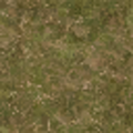 cs_lod_forestfloor256.png