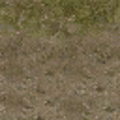 cs_lod_forestfloor256_blenddirt.png