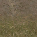 cs_lod_forestfloor256mudblend.png